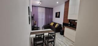 Apartament Leopard - Bydgoszcz - 9