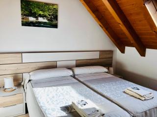 Apartamentos Zabalarena Basoa - Orbaizeta - 7