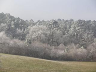 Votre gîte en Périgord : La Grangette. - 1