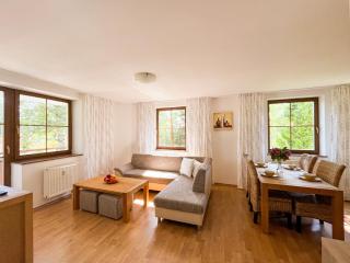 Slnečný 2-izbový apartmán Pod lesom, Dolný Smokovec - Starý Smokovec - 8