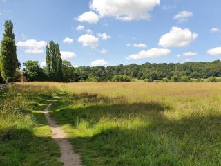 Town View - 2