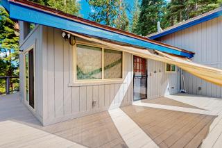 Zen Amongst the Trees - Truckee - 7