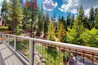 Zen Amongst the Trees - Truckee - 6