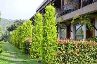 Assos Longevity Hotel - 1