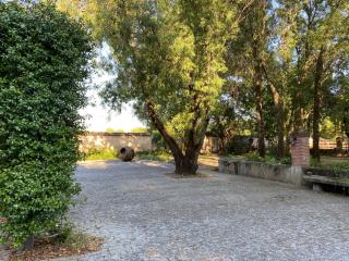 La Resinera - La Adrada - 9