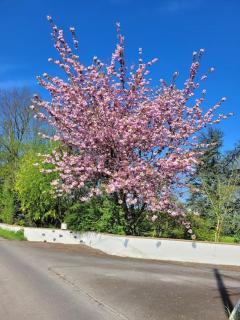 Le Charme Normand - 1