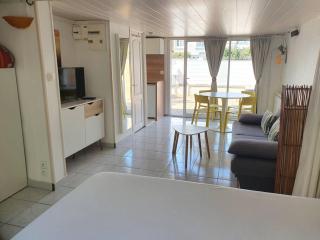 logement Amboise centre avec terrasse privée - Amboise - 6