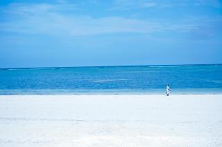 Zanzibar House Boutique Hotel - Matemwe - 2