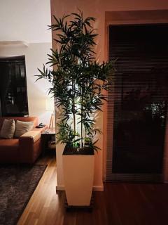 Luxus Apartment 70m2 Hamburg Eppendorf - 8