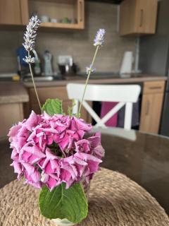 Auszeit im Pott - Ferienwohnung Lavendel - Herten - 7