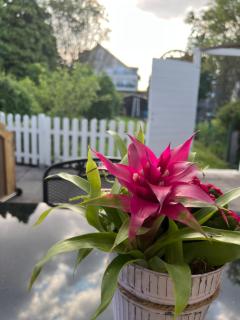 Auszeit im Pott - Ferienwohnung Lavendel - Herten - 5