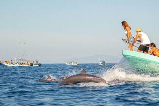 EXCLUSIVO BUNGALOW CON PLAYA SEMI-PRIVADA, Alberca vista Infinita al océano pacífico, playa Zipolite-Mazunte, 8 hermosas playas cercanas, vive experiencias inolvidables en este paraíso en las costas de Oaxaca, nómadas digitales Starlink WiFi 203 mbps - Puerto Ángel - 4