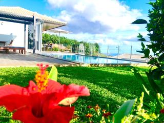 Villa Pinheira IV -Heated swimming pool and jacuzzi - Calheta - 8