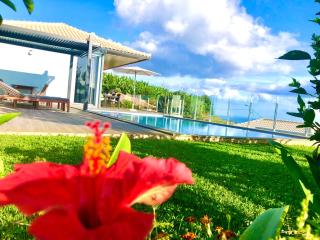 Villa Pinheira IV -Heated swimming pool and jacuzzi - Calheta - 0