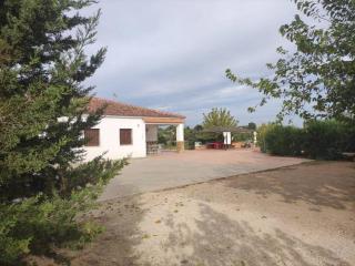 Casa Rural Alameda en Posadas Córdoba - Posadas - 5