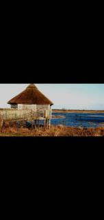 Killooley Lodge - Tullamore - 3