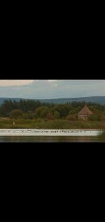 Killooley Lodge - Tullamore - 1