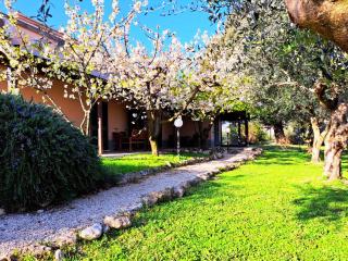 Don Federico Country Inn - 9