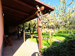 Don Federico Country Inn - Moscufo - 7