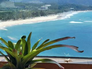 18楼稀缺海景 高私密 可观日出 超治愈 芳香水疗Spa公寓 - BLU三面环海度双露台全海景公寓-融创日月湾店 - Wanning - 8