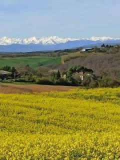 Ferme Ariégeoise, Gîte des Pyrénées - 6
