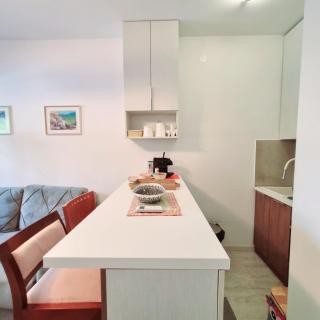 Apartman Podgorica - Podgorica - 6