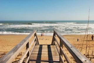 2408 - Herring Gull by Resort Realty - Sanderling - 1