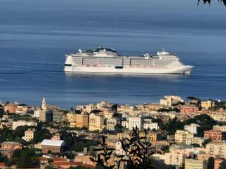 Dal Moro 44 - - 6