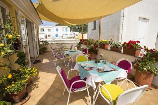 B&B Celestina Ischia - Ischia - 0