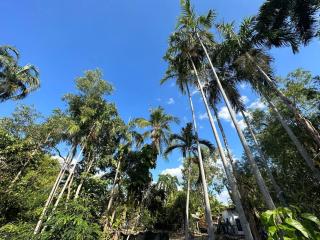 Pete's Place - Berrimah - 9