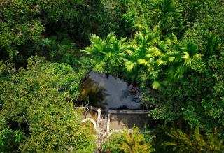 Singharaja Garden AGRO & ECO Lodge - 2