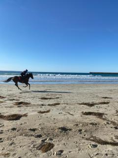 Barkly Beach House Warrnambool - Warrnambool - 6