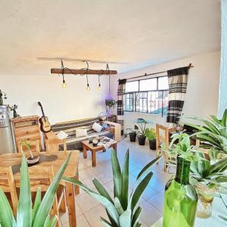 Hostel Boutique 55 - 7
