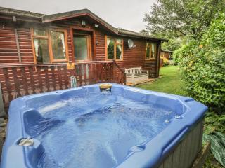 Langdale Lodge 15 - Windermere - 0
