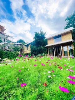 Nay Bungalow Dalat - Da Lat - 6