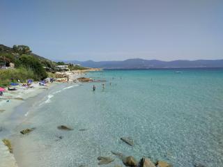 Grand T2 Cours Napoleon B - Ajaccio - 2