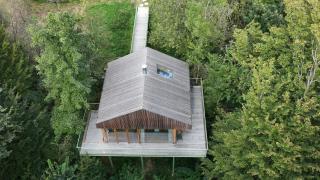 baumhaus buchengrün - Dobl-Zwaring - 7