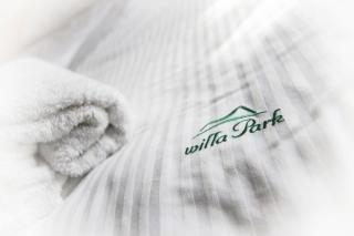 Willa Park - Zakopane - 1