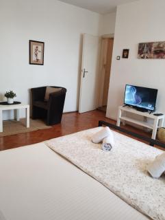 Apartman Centar Beograd - 1