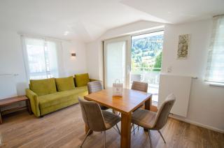 Finest Apartments Glacier View by All in One Apartments - Kaprun - 1