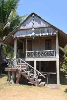 Bunga Jabe - Karimunjawa - 1
