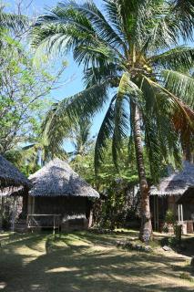 Bunga Jabe - Karimunjawa - 8