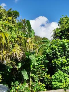 L'escale du radier - 1