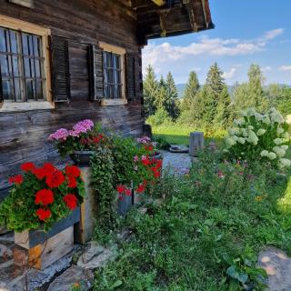 Moarhold Almhaus - Natur & Ruhe - Die Almhütte im Pöllauer Tal - Pöllau - 5