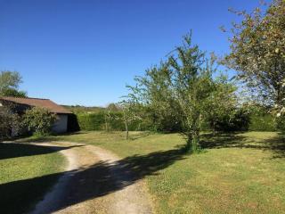 Grande maison avec parc de 6000m2 - Pompiey - 3
