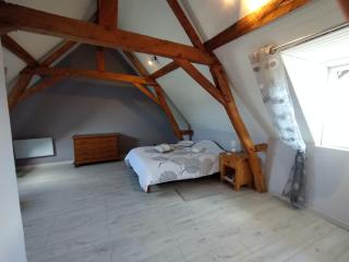 Le moulin neuf - Saint-Nicolas-de-Bourgueil - 0