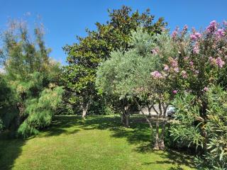 La Villa des Lavandes - A 300m du Centre, au calme, et au vert ! - LʼIsle-sur-la-Sorgue - 2