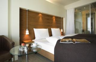 Occidental Dresden Newa - Dresda - 7