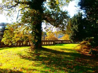 Number 9 Narrow Water Castle - Warrenpoint - 3