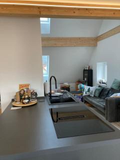 Neues Penthouse-Loft mit KONUSKarte für gratis ÖPNV - Ehrenkirchen - 9